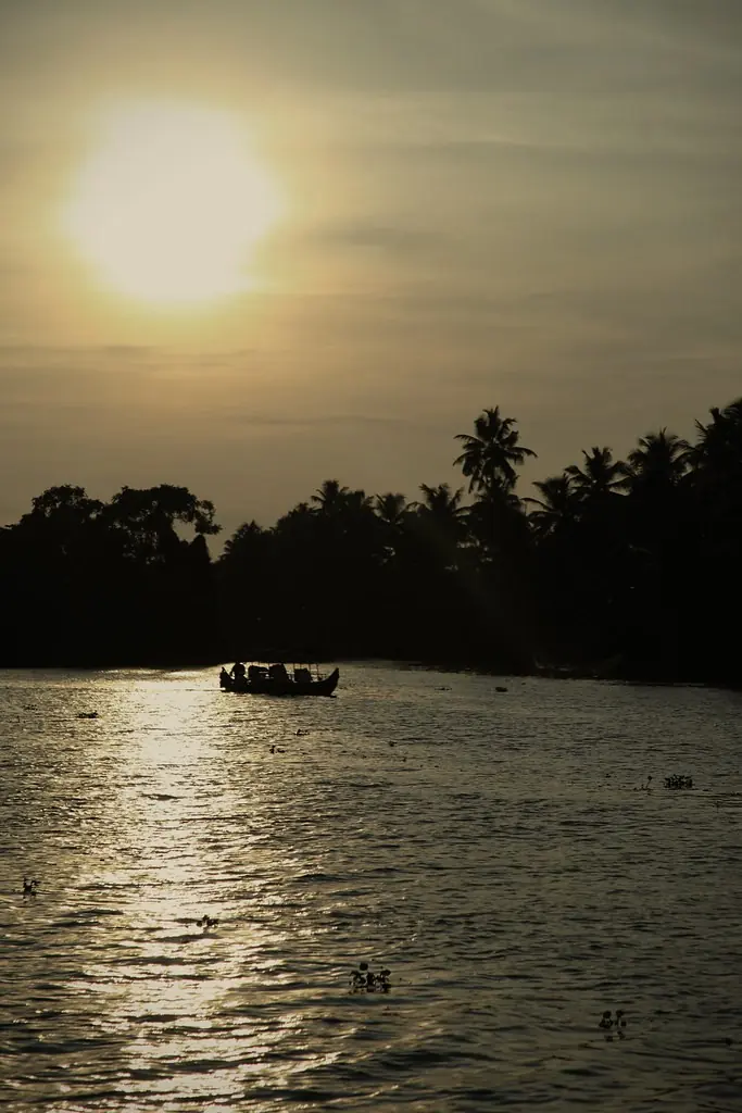 A small boat on still water at dusk with palms on the horizon