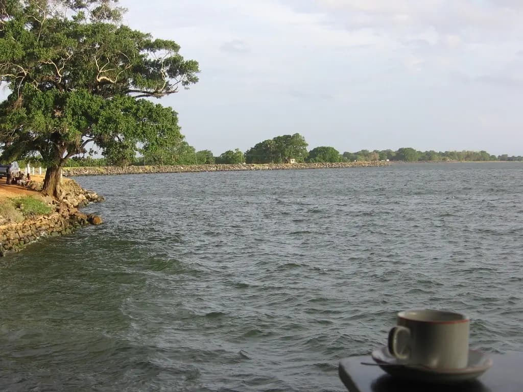 A cup of tea on a ledge above calm water and trees